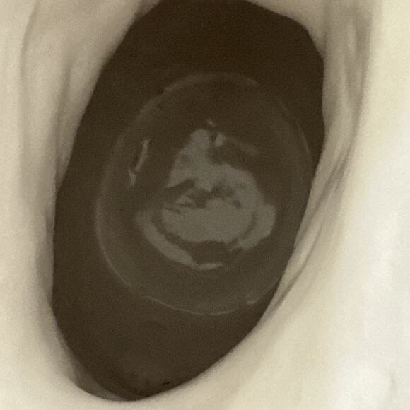 Vintage‎ JF Vestal Rooster Pitcher Made in Portugal Farmhouse Country Decor - Picture 9 of 11